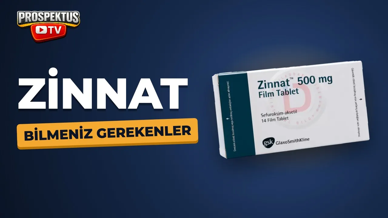 Zinnat video anlatımı
